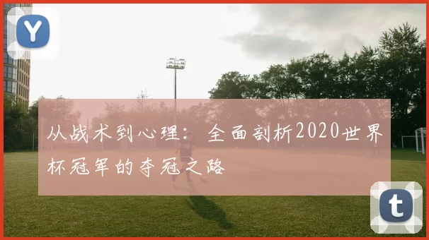 从战术到心理：全面剖析2020世界杯冠军的夺冠之路
