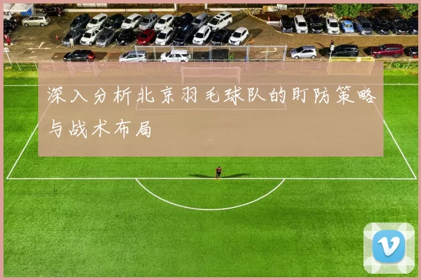 深入分析北京羽毛球队的盯防策略与战术布局