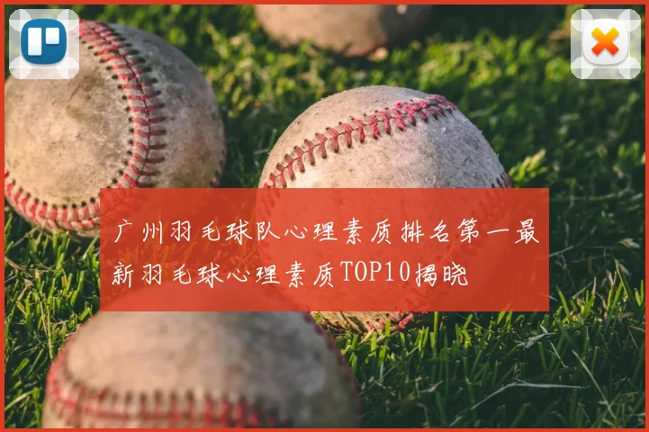 广州羽毛球队心理素质排名第一最新羽毛球心理素质TOP10揭晓