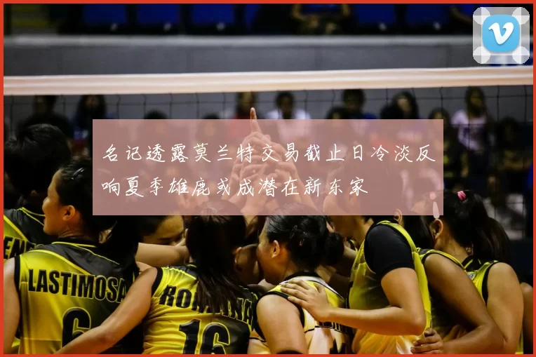 名记透露莫兰特交易截止日冷淡反响夏季雄鹿或成潜在新东家