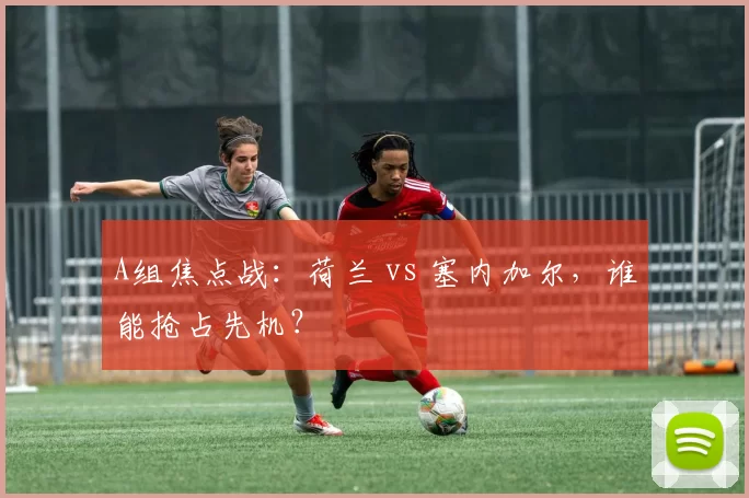 A组焦点战:荷兰 vs 塞内加尔,谁能抢占先机?