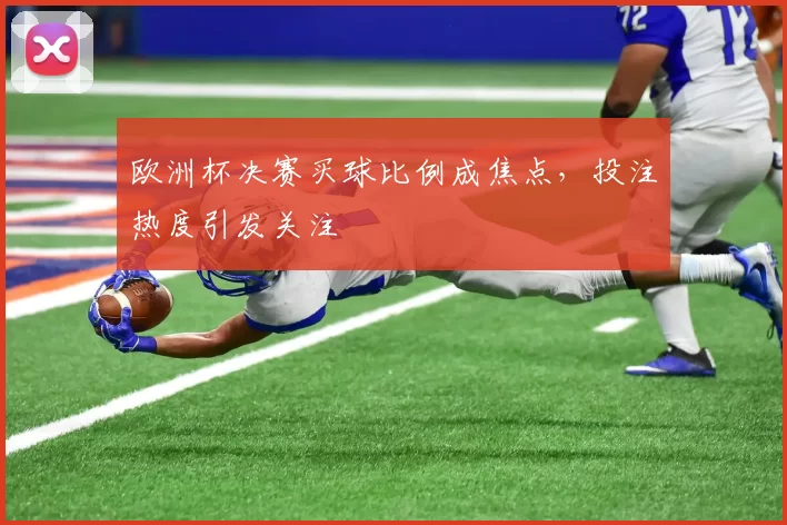 欧洲杯决赛买球比例成焦点,投注热度引发关注
