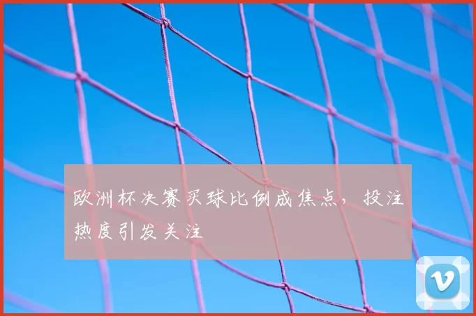 欧洲杯决赛买球比例成焦点,投注热度引发关注