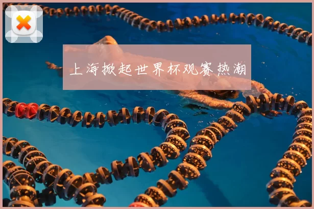 上海掀起世界杯观赛热潮