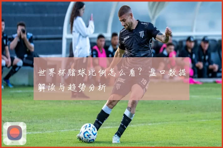 世界杯赌球比例怎么看？盘口数据解读与趋势分析